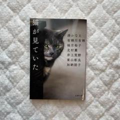 文春文庫　猫が見ていた
