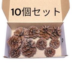 ⭐️送料無料⭐️ 松ぼっくり10個セット／消毒済み・ハンドメイド素材におすすめ