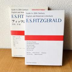 F.S.フィッツジェラルド 20世紀英米文学案内　野崎孝編　グレートギャツビー