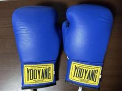 【貴重品】YOO YANG 韓国　ボクシンググローブ　10oz m10820900092_1.jpg?1737386631