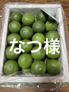 徳島産 ハウス新鮮すだち　5キロ 徳島産 ハウスすだち 新鮮すだち 5キロ - メルカリ