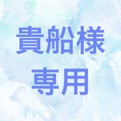 硬質ケース痛ロゼット