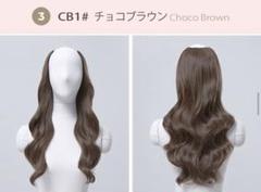 楽天市場】ウィッグ オープン ハーフウィッグ『ブラント