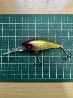 D-billshad Dビルシャッド Riser bait 11点まとめ