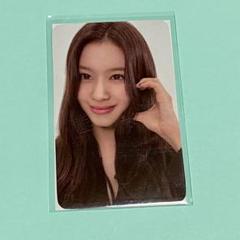 TWICE サナ THIS IS FOR fans jyp 特典 トレカ