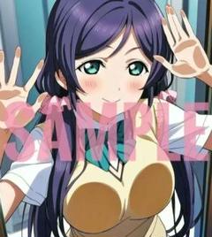 新品「東條希」ブロマイド Amazon.co.jp: ラブライブ 絢瀬絵里 東條希 ブロマイドカード