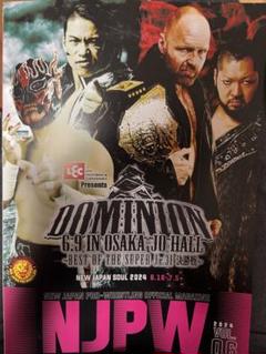 DDT プロレス　パンフレット　31冊　まとめ売り DDT プロレス パンフレット 31冊 まとめ売りの通販 by ろみ's
