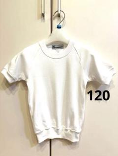 グリンズ　体操着　白120㎝　日本製