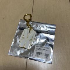 ⭐️おまけ付き⭐️ GLAY EXPO タグキーホルダー 白・赤セット 2025年最新】glay キーホルダー expoの人気アイテム - メルカリ