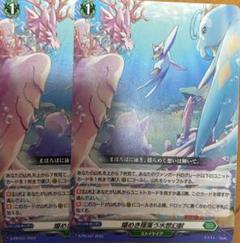 燦めき揺蕩う水想幻獣　4枚 D-PR/531 燦めき揺蕩う水想幻獣 | ヴァンガード,その他