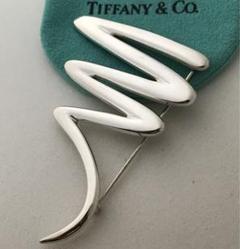 2025年最新】TIFFANY ヘアピンの人気アイテム - メルカリ
