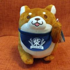 忠犬　もちしば　おしゃべりぬいぐるみ２