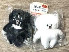 顔がギュッとしたくまのぬいぐるみ ガチャ ホッキョクグマ ツキノワグマ