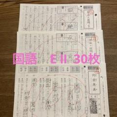 公文　国語EⅡ 1〜200 テスト　セット くもん 国語 EⅡ 1-200 書込、採点あり - メルカリ