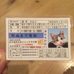 なめネコ　昭和当時の物　新品美品 m109425577_1.jpg?1469718113