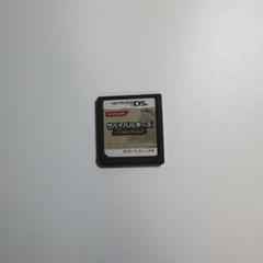 【動作確認済】サバイバルキッズ　ds