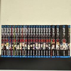 鬼滅の刃全巻+漫画特典・鬼殺隊見聞録付き