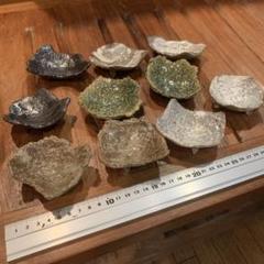 変形皿　8器　暁山 変形皿 8器 暁山 - メルカリ