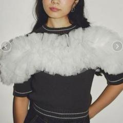 bibiy.ボリュームチュールニット bibiy Bibiy. GISELLE TULLE KNITボリュームチュール - メルカリ