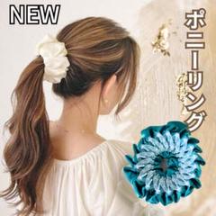 Nissy グッズ　ヘアクリップ　シュシュ Nissy シュシュ - メルカリ