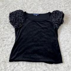 MSGRACYエムズグレイシー ベロア　Tシャツ　刺繍花柄