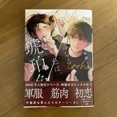 落ちるあ色は、琥珀色　藤瀬とな