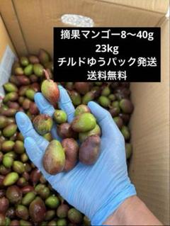 摘果マンゴー、青マンゴー16kg箱込み 51I2gta4Z0L._UF350,350_QL50_.jpg