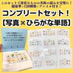200円引き中！ひらがな　写真とひらがな単語の対応　セット！療育　特別支援　知育