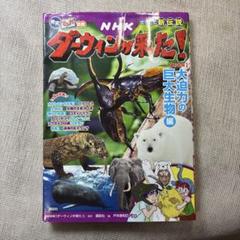 2025年最新】NHKダーウィンが来たの人気アイテム - メルカリ