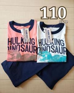 キッズ 恐竜 パジャマ 110 BREEZE バースデイ しまむら NIKE