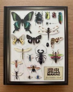 国立科学博物館　特別展「昆虫MANIAC 」　公式図録