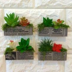 多肉植物 ミニウォールグリーンバー4個セット デコパージュ