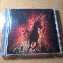 Miserere Luminis ‐ Ordalie カナダ産ブラックメタル