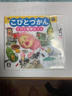 こびとづかん こびと観察セット