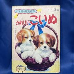 R⑤ 小学館の育児絵本 かわいいこねこ 1〜3歳 小学館 レトロ かわいいこねこ 小学館の育児絵本 35 1～3歳 監修 波多野勤子 絵