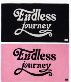 入手困難】ENDLESS JOURNEY ASTRO stuffs 2枚セット