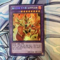 遊戯王 ＥＨＥＲＯ ノヴァマスター　韓国　シク