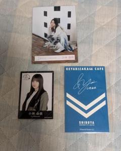欅坂46 小林由依 グッズ 小林由依 欅共和国 欅坂46 缶バッジ 櫻坂46 - メルカリ