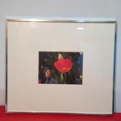 HAKUBA PHOTO FRAME