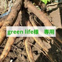群馬県 キャッサバ芋 1kg green life様専用 - メルカリ