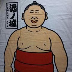 大相撲 逸ノ城の手形色紙と反物 大相撲 逸ノ城の手形色紙と反物