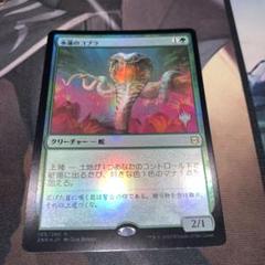 2025年最新】MTG 水蓮のコブラの人気アイテム - メルカリ