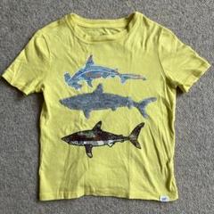 【美品】GAP KIDS サメプリント イエロー Tシャツ　100cm