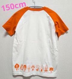 BANDAI ワンピース Tシャツ