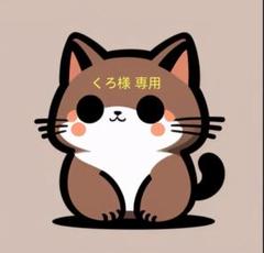 IELTS 公式問題集 15-20 Cambridge Academic 音源付 - メルカリ