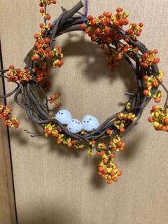 ツルウメモドキリースＢ ツルウメモドキリース① | Botanical-style