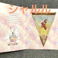 ミニー　タペストリー　ディズニー　ガーランド　ハトメあり ミニータペストリーディズニーガーランドハトメあり