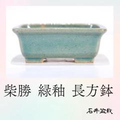 柴勝　盆栽鉢　ミニ盆栽鉢　植木鉢　盆栽　落款 Yahoo!オークション -「柴勝 鉢」の落札相場・落札価格