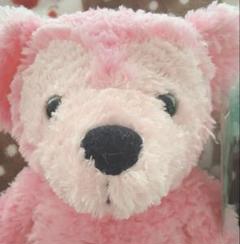 【希少】海外 ダッフィー ディズニーベア ピンク WDW duffy 貴重なパステルカラーのダッフィー☆ディズニーベア プリンセス