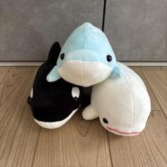 専用♥鴨川シーワールド３点セット Amazon.co.jp: 鴨川シーワールド シャチぬいぐるみ 3体セット